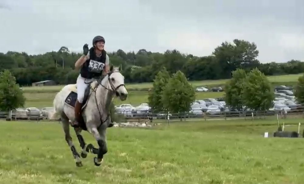 Zangersheide springpaard Ruin 10 jaar Schimmel te koop - Foto 6