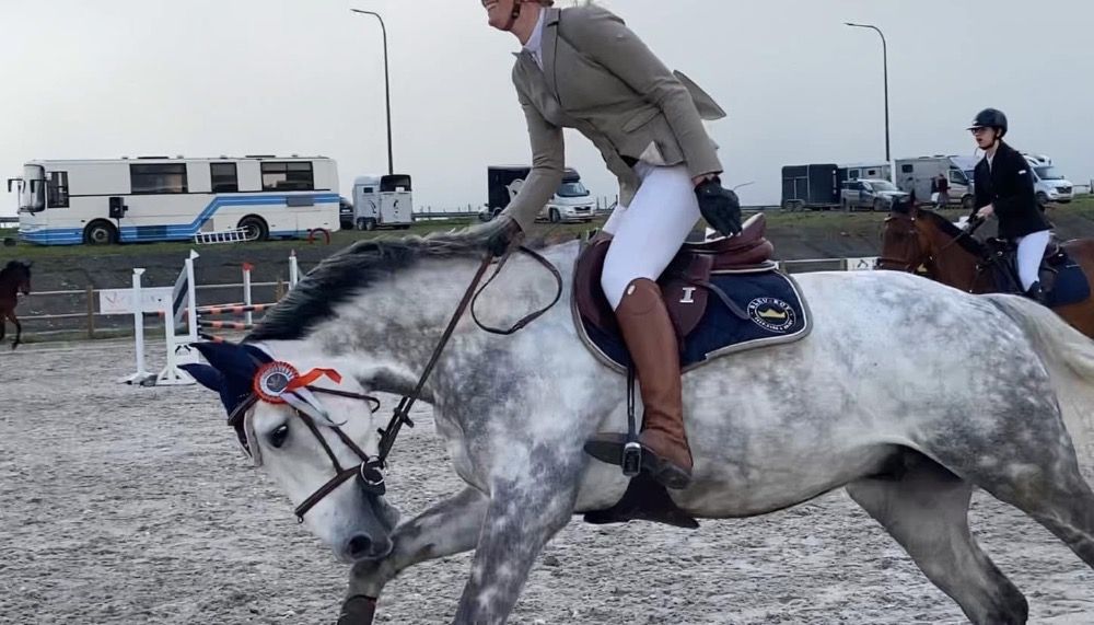 Zangersheide springpaard Ruin 10 jaar Schimmel te koop - Foto 2