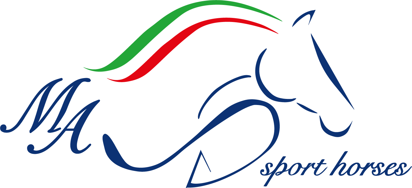 manuel albano sport horses