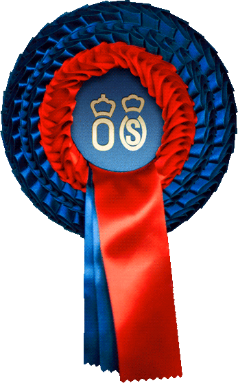 The Oldenburg Association: Tradition, Quality, and Modern Horse Breeding