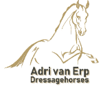 Dressuurstal Adri van Erp